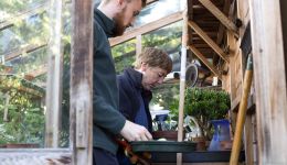 RCP Medicinal Garden spotlight