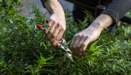 Sustainability initiatives at award-winning conference and event venue, RCP London Events