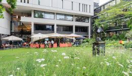 RCP garden view with the white building at the back