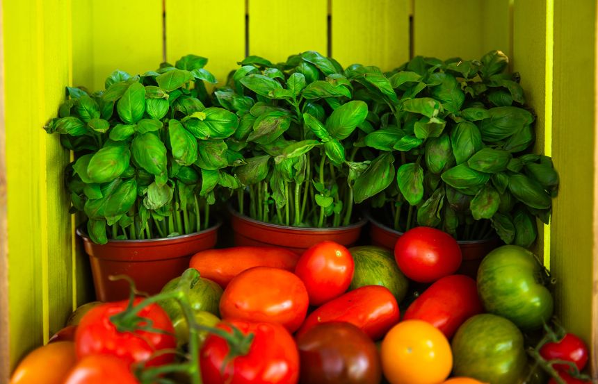 Sustainability initiatives at RCP London Events, award-winning conference venue in central London